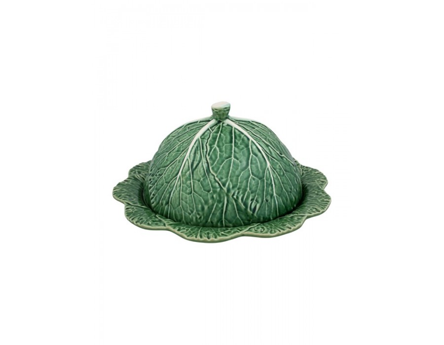 Cabbage - Cheese Tray Natural