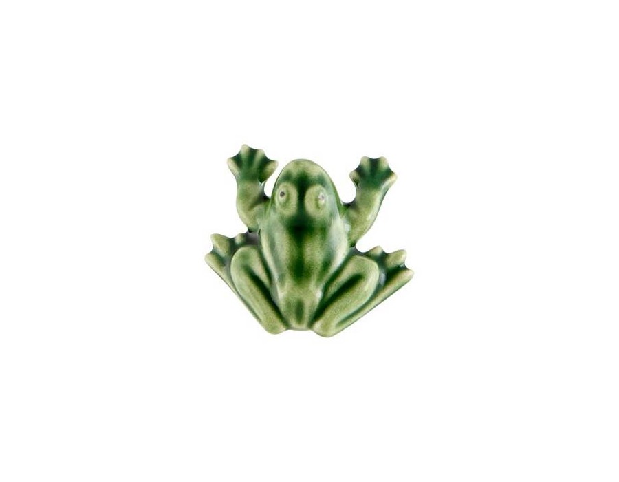 Magnet Miniature Frog