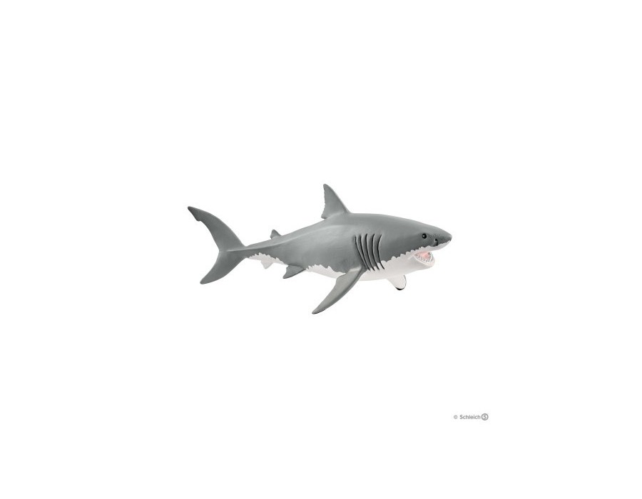 Tiburón Blanco
