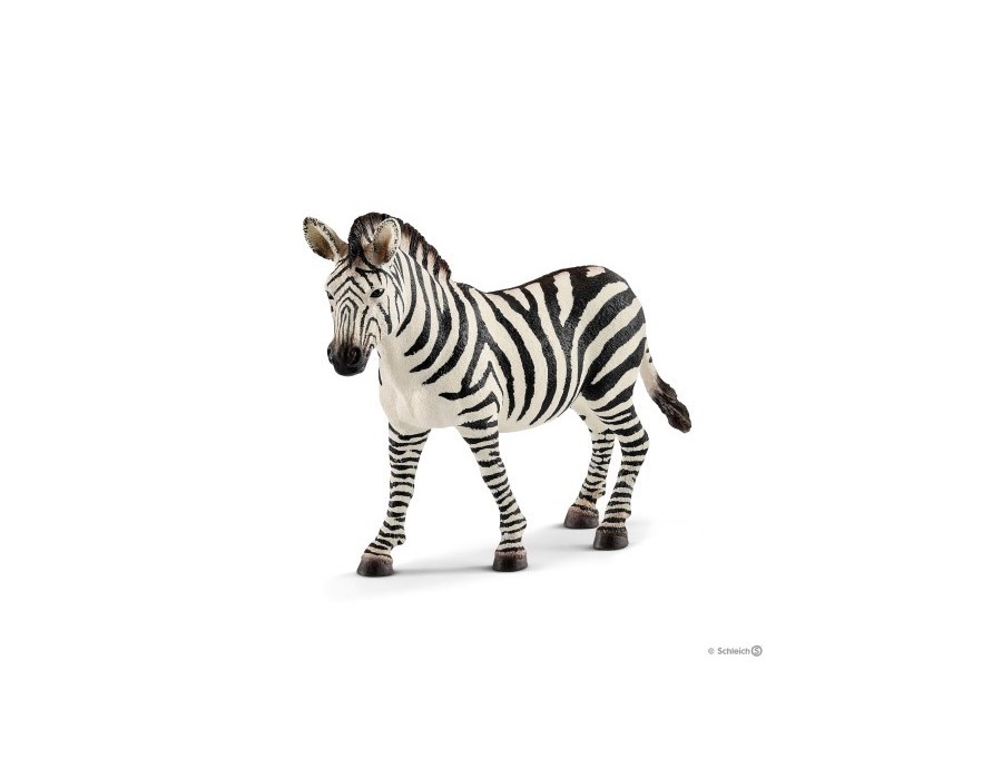 Zebra Fêmea