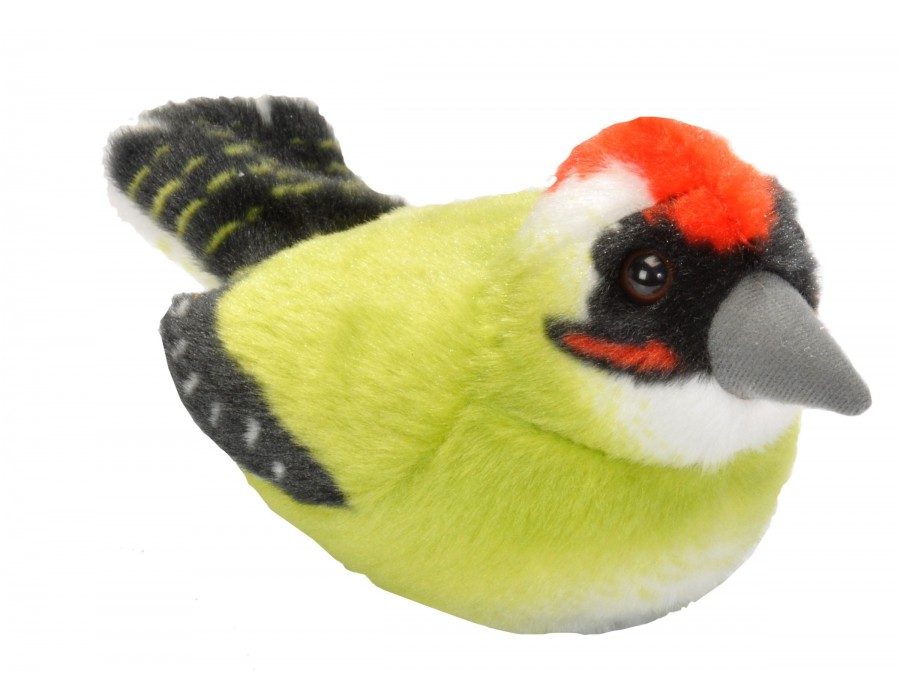 RSPB II Green Woodpecker