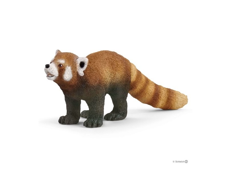 Red Panda Bear