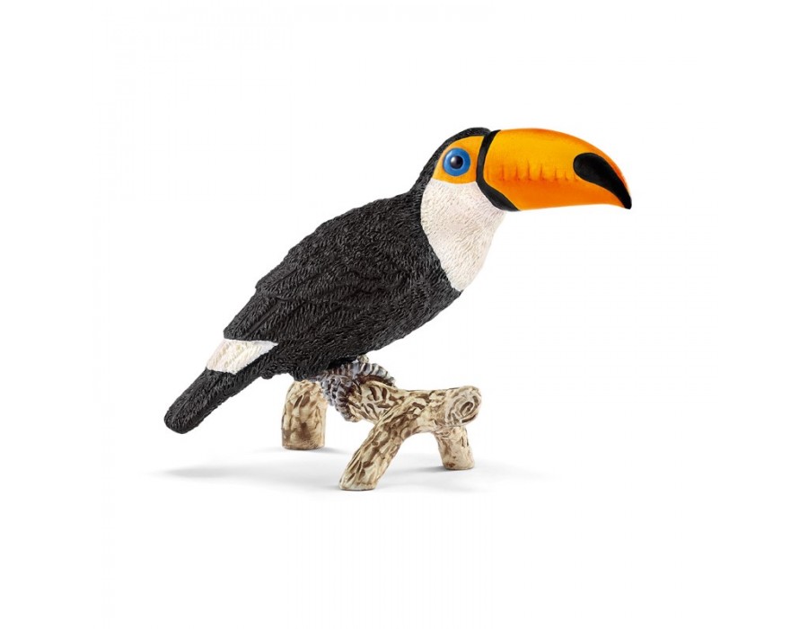 Toucan